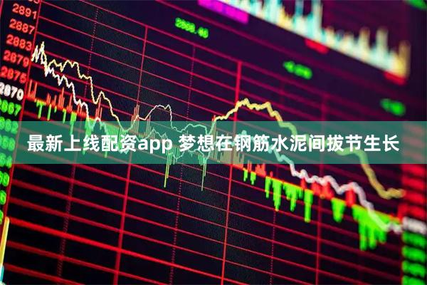 最新上线配资app 梦想在钢筋水泥间拔节生长